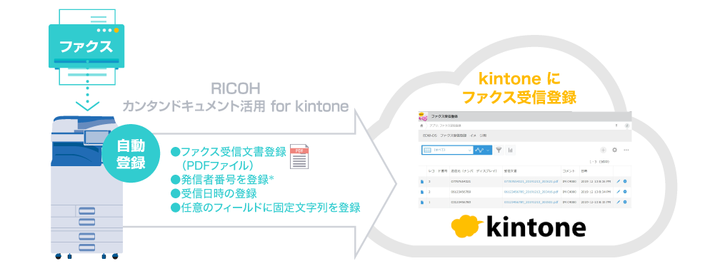 Application Site